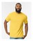 Gildan Softstyle Midweight Crewneck Short Sleeve T-Shirt For Modern Classic Fit Durable Everyday Wear